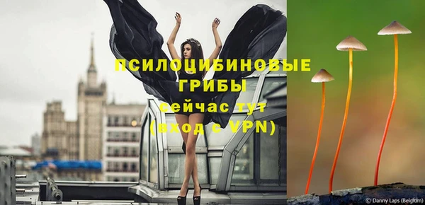 мяу мяу мука Алзамай