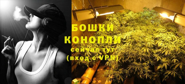 гашик Михайловка