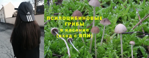 кокаин премиум Алексин