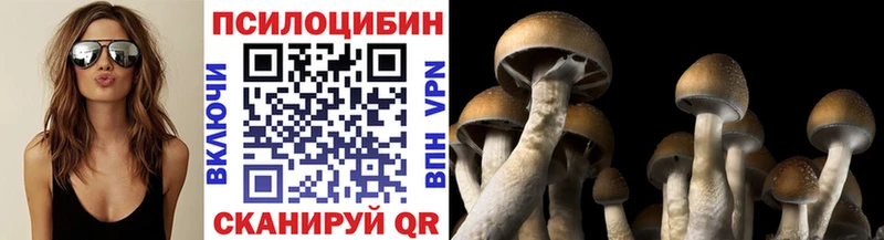 магазин  наркотиков  Елабуга  Галлюциногенные грибы мухоморы 