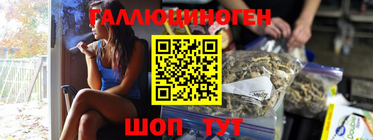 Псилоцибиновые грибы MAGIC MUSHROOMS  Вход с VPN  Елабуга 
